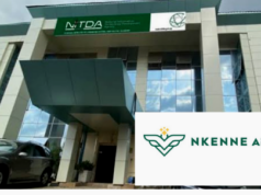 NITDA Partners NKENNEAi to Unlock AI for Nigeria’s 500+ Languages