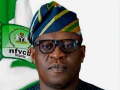 NFVCB Boosts Kaduna Film Hub with Showcase, Trainings