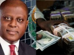 CBN’s New FX Manual: More Rules, Less Uncertainty