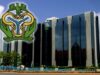 CBN’s 23% Rate Cut Wins IMF Support